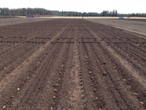 planting_4_22_2014